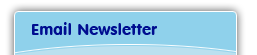 Email Newsletter